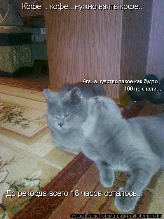 Кофе... кофе...нужно взять кофе.. До рекорда всего 18 часов осталось... Ага ,а чувство такое как будт... Котоматрица: Кофе... кофе...нужно взять кофе.. До рекорда всего 18 часов осталось... Ага ,а чувство такое как будто , 100 не спали...