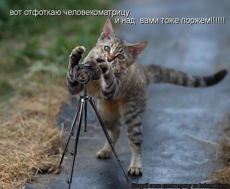вот отфоткаю человекоматрицу и над вами тоже поржем!!!!!!... Котоматрица: вот отфоткаю человекоматрицу и над вами тоже поржем!!!!!!