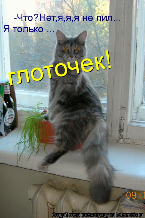 -Что?Нет,я,я,я не пил... Я только ... глоточек!... Котоматрица: -Что?Нет,я,я,я не пил... Я только ... глоточек!
