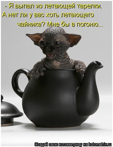 - Я выпал из летающей тарелки. А нет ли у вас хоть летающего чайника? Мне бы в погоню...... Котоматрица: - Я выпал из летающей тарелки. А нет ли у вас хоть летающего чайника? Мне бы в погоню...