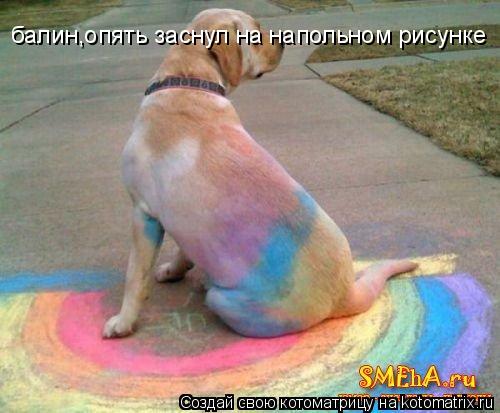 балин,опять заснул на напольном рисунке... Котоматрица: балин,опять заснул на напольном рисунке