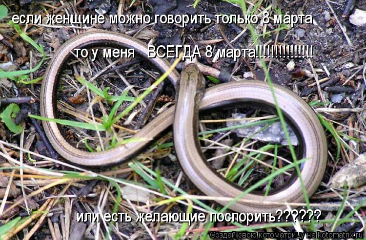 если женщине можно говорить только 8 марта или есть желающие поспорить?????? то у меня ВСЕГДА 8 мар... Котоматрица: если женщине можно говорить только 8 марта или есть желающие поспорить?????? то у меня ВСЕГДА 8 марта!!!!!!!!!!!!!!!
