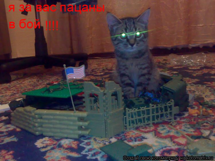 я за вас пацаны в бой !!!!... Котоматрица: я за вас пацаны в бой !!!!