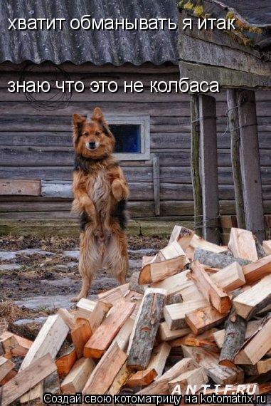 хватит обманывать я итак знаю что это не колбаса... Котоматрица: хватит обманывать я итак знаю что это не колбаса