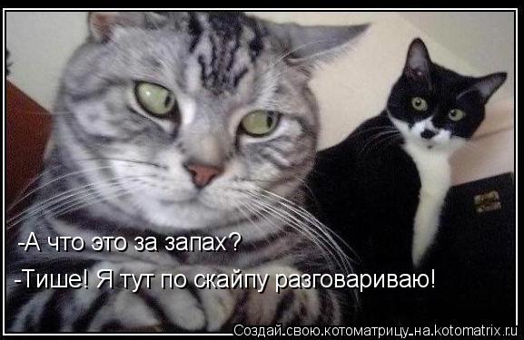 -А что это за запах? -Тише! Я тут по скайпу разговариваю!... Котоматрица: -А что это за запах? -Тише! Я тут по скайпу разговариваю!