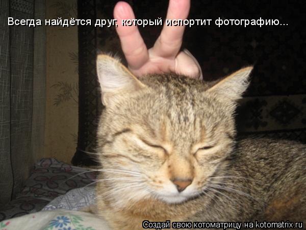 Котоматрица: Всегда найдётся друг, который испортит фотографию...