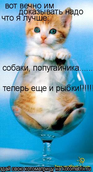 Котоматрица: вот вечно им доказывать надо что я лучше: собаки, попугайчика.............. теперь еще и рыбки!!!!!!