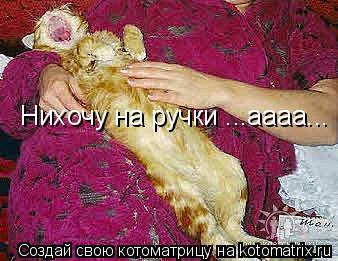 Котоматрица: Нихочу на ручки ...аааа...