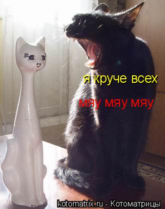 Котоматрица: я круче всех мяу мяу мяу