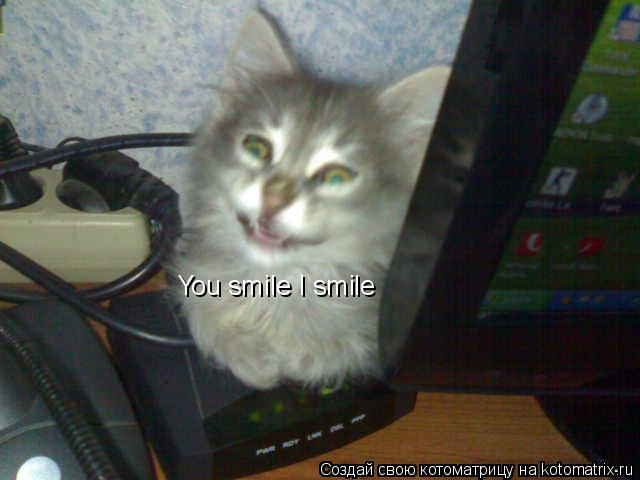 Котоматрица: You smile I smile