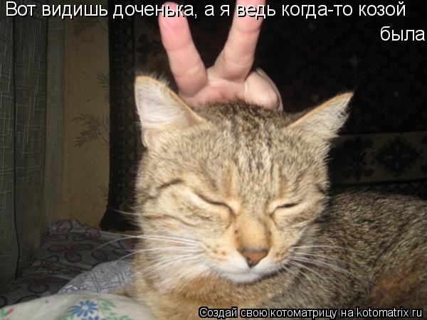 Котоматрица: Вот видишь доченька, а я ведь когда-то козой  была