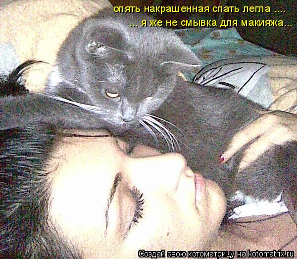 Котоматрица: опять накрашенная спать легла ....  ... я же не смывка для макияжа...