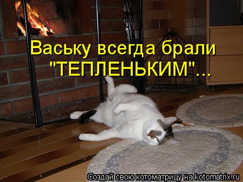 Ваську всегда брали "ТЕПЛЕНЬКИМ"...... Котоматрица: Ваську всегда брали "ТЕПЛЕНЬКИМ"...