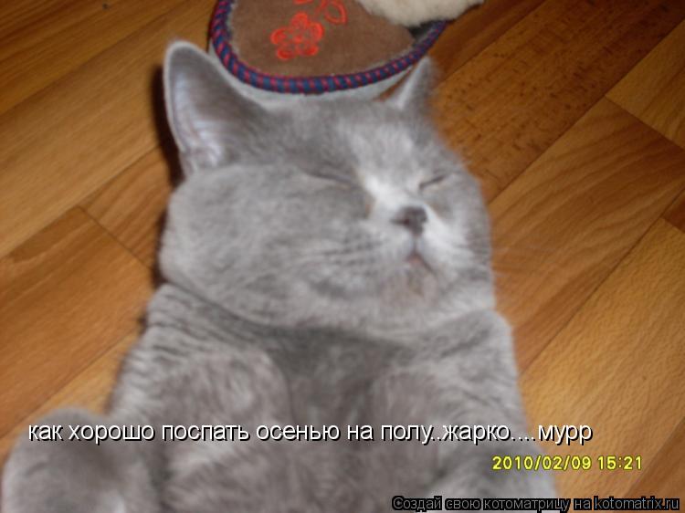 Котоматрица: как хорошо поспать осенью на полу..жарко....мурр