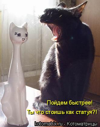 Котоматрица: Пойдем быстрее!  Ты что стоишь как статуя?!