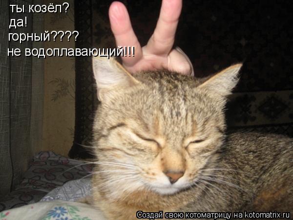 Котоматрица: ты козёл? да! горный???? не водоплавающий!!!