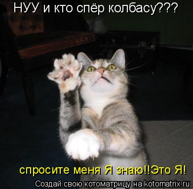 Котоматрица: НУУ и кто спёр колбасу???  спросите меня Я знаю!!Это Я!