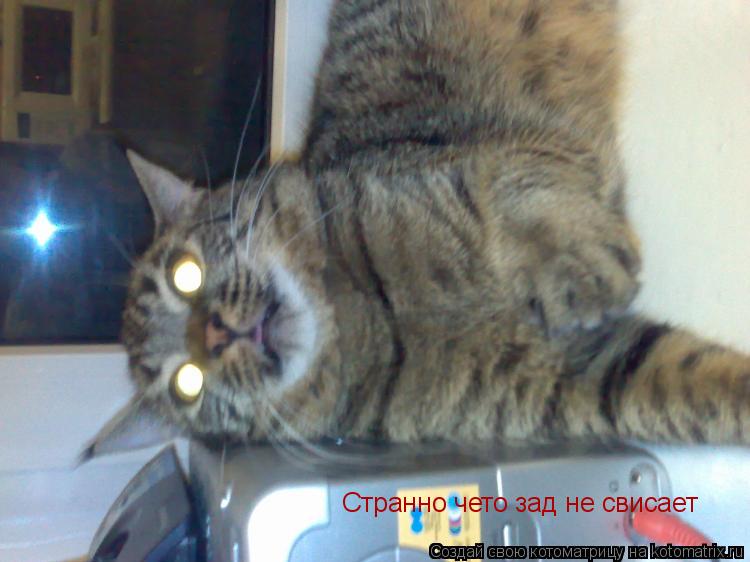 Котоматрица: Странно чето зад не свисает