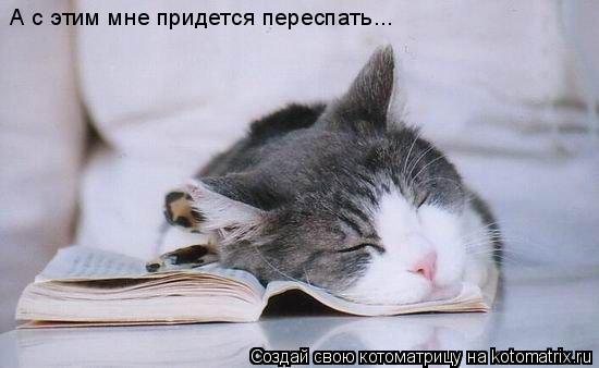 Котоматрица: А с этим мне придется переспать...
