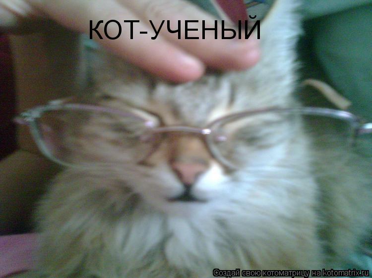 Котоматрица: КОТ-УЧЕНЫЙ