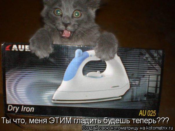 Котоматрица: Ты что, меня ЭТИМ гладить будешь теперь???