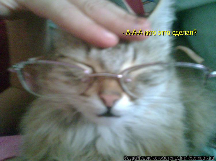 Котоматрица: - А-А-А ккто этто сделал?