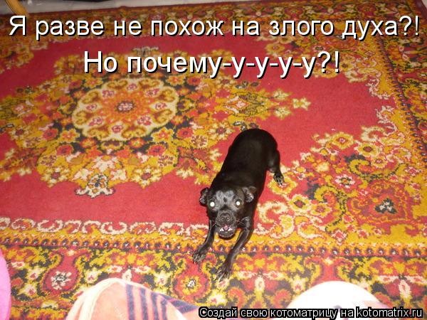 Котоматрица: Я разве не похож на злого духа?! Но почему-у-у-у-у?!