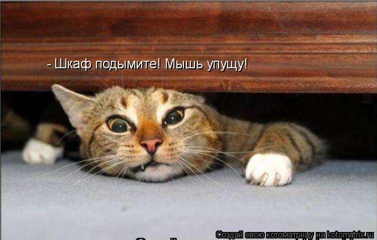 Котоматрица: - Шкаф подымите! Мышь упущу!