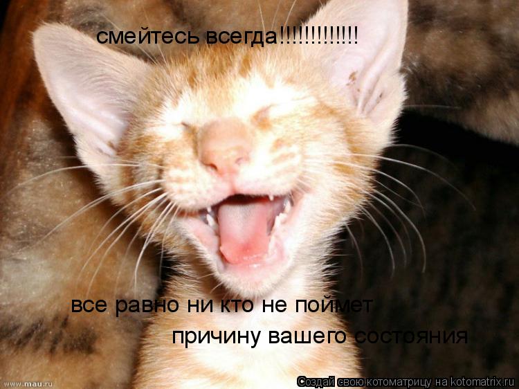 Котоматрица: смейтесь всегда!!!!!!!!!!!!! все равно ни кто не поймет  причину вашего состояния