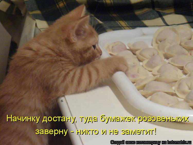 Котоматрица: Начинку достану, туда бумажек розовеньких  заверну - никто и не заметит!