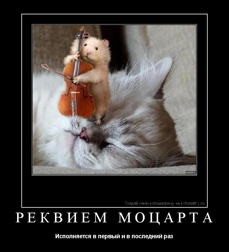 Реквием Моцарта Исполняется в первый и в последний раз... Котоматрица: Реквием Моцарта Исполняется в первый и в последний раз