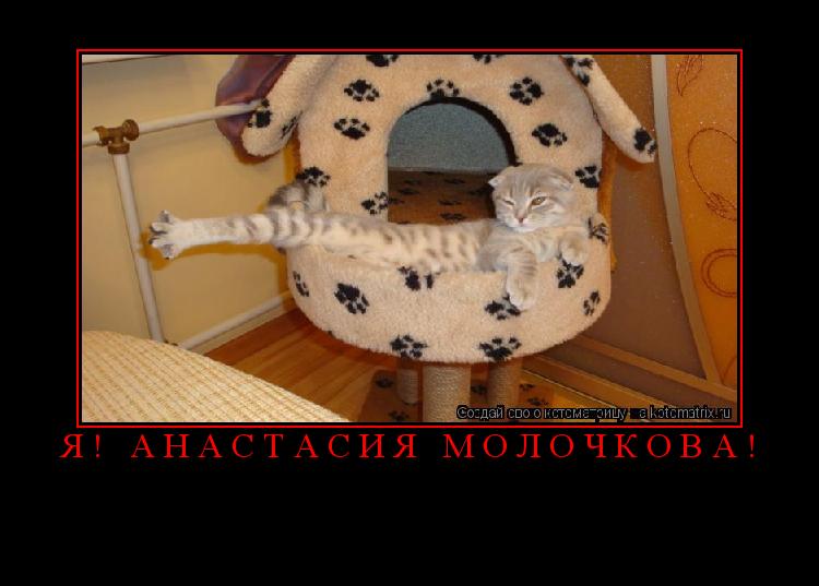 Котоматрица: Я! Анастасия Молочкова! 