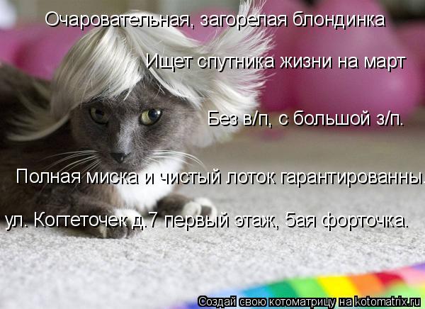 Котоматрица: Очаровательная, загорелая блондинка Без в/п, с большой з/п. Полная миска и чистый лоток гарантированны. Ищет спутника жизни на март ул. Когте