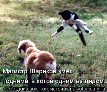 Котоматрица: Магистр Шариков умел  поднимать котов одним взглядом...