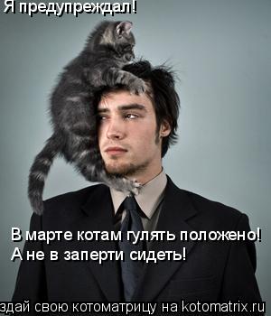 Котоматрица: Я предупреждал!  В марте котам гулять положено! А не в заперти сидеть!