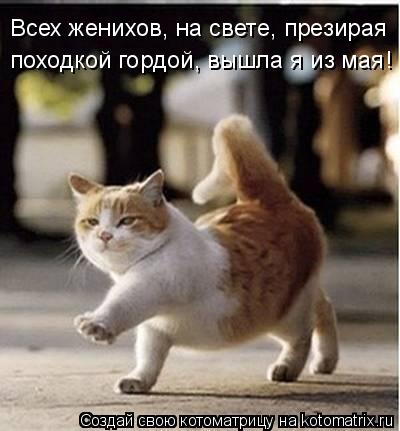 Котоматрица: Всех женихов, на свете, презирая походкой гордой, вышла я из мая!