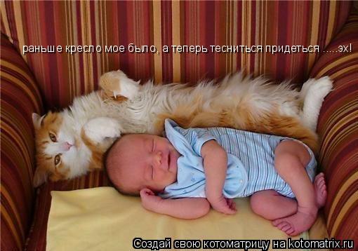 Котоматрица: раньше кресло мое было, а теперь тесниться придеться .....эх!