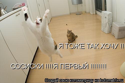 Котоматрица: СОСИСКИ !!!!Я ПЕРВЫЙ !!!!!!!!   Я ТОЖЕ ТАК ХОЧУ !!!!