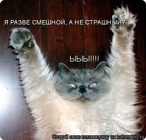 Котоматрица: ЫЫЫ!!!!  Я РАЗВЕ СМЕШНОЙ, А НЕ СТРАШНЫЙ?