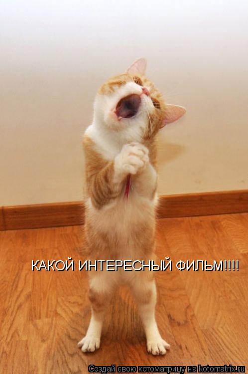 Котоматрица: КАКОЙ ИНТЕРЕСНЫЙ ФИЛЬМ!!!!