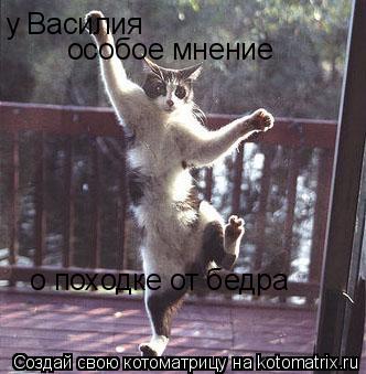 Котоматрица: у Василия  особое мнение о походке от бедра
