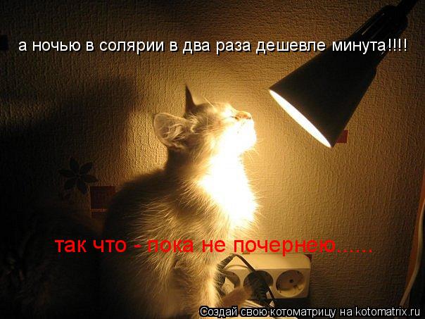 Котоматрица: а ночью в солярии в два раза дешевле минута!!!! так что - пока не почернею......