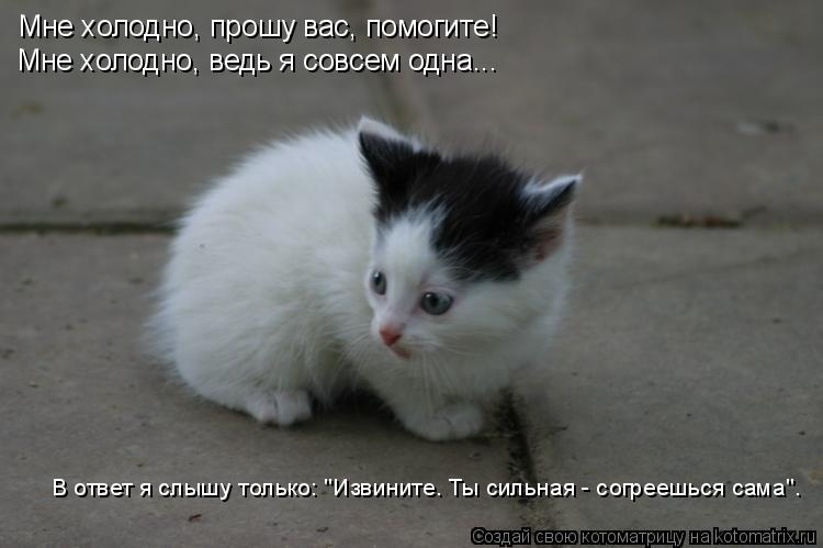 Мне холодно, прошу вас, помогите! Мне холодно, ведь я совсем одна... В ответ я слышу только: "Извинит... Котоматрица: Мне холодно, прошу вас, помогите! Мне холодно, ведь я совсем одна... В ответ я слышу только: "Извините. Ты сильная - согреешься сама".