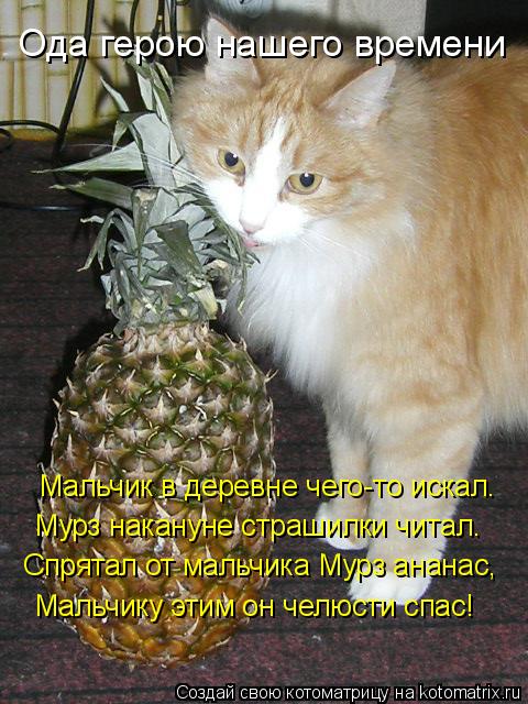 Котоматрица: Мальчик в деревне чего-то искал. Мурз накануне страшилки читал. Спрятал от мальчика Мурз ананас, Мальчику этим он челюсти спас! Ода герою на