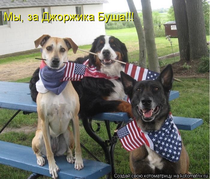 Мы, за Джоржика Буша!!!... Котоматрица: Мы, за Джоржика Буша!!!