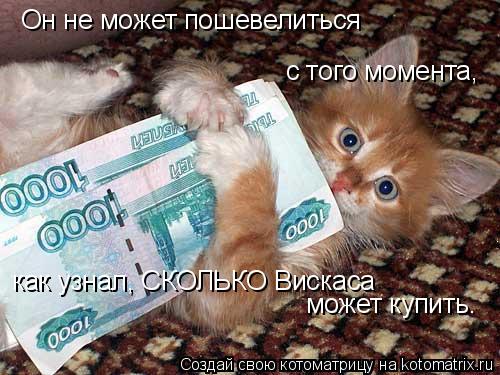 Котоматрица: Он не может пошевелиться с того момента, как узнал, СКОЛЬКО Вискаса может купить.