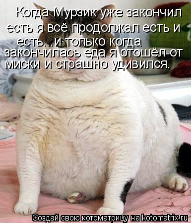 Котоматрица: Когда Мурзик уже закончил есть я всё продолжал есть и есть...и только когда  закончилась еда я отошёл от  миски и страшно удивился.