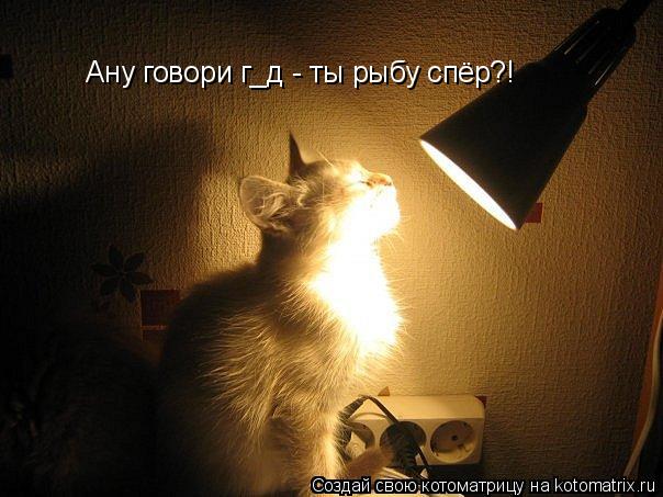 Котоматрица: Ану говори г_д - ты рыбу спёр?!
