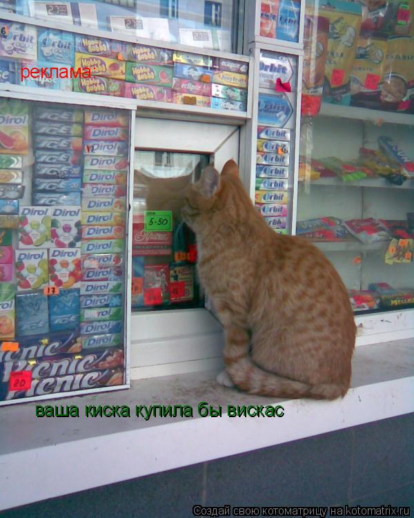 Котоматрица: реклама: ваша киска купила бы вискас