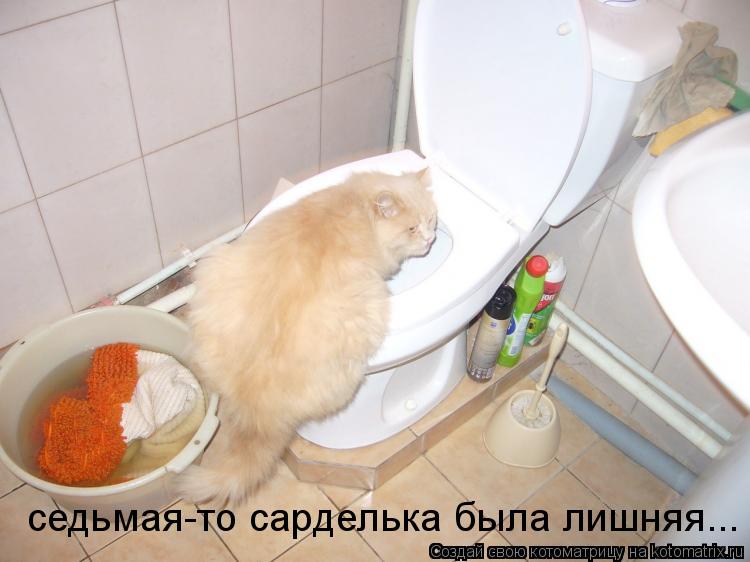 Котоматрица: седьмая-то сарделька была лишняя...